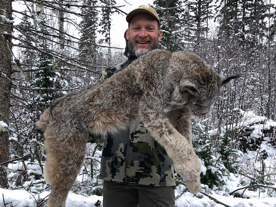 Hunt for Cougar/Lynx