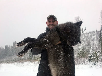 Wolf Hunting in BC Canada