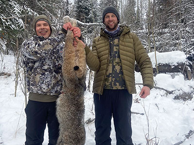 Canada Lynx Hunting in BC