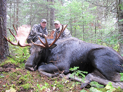 Moose Hunts in BC