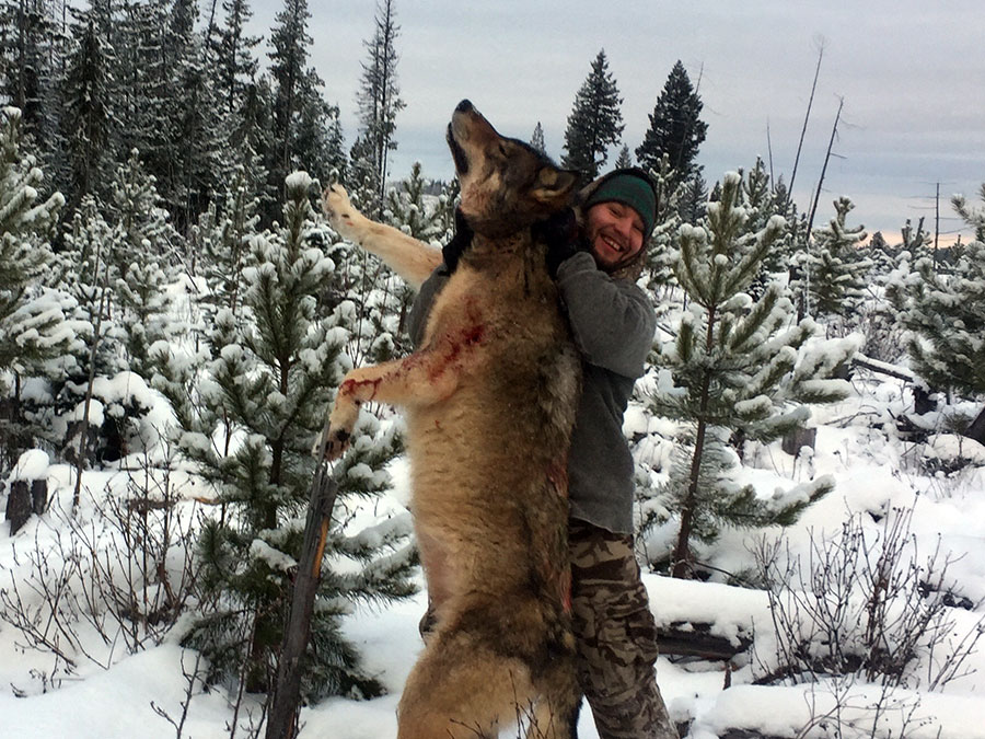 Lynx, Cougar Hunts, BC Moose, Black Bear Hunt, Opatcho Lake Guide ...