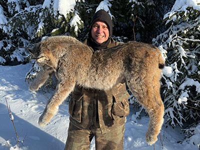 Lynx Hunting in BC