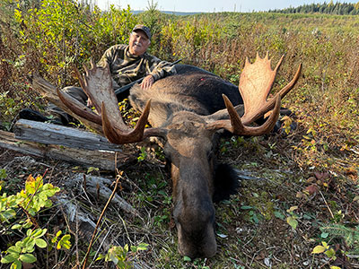 Canada Moose Hunt