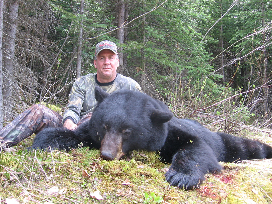 BC Moose Hunting, Black Bear, Cougar Lynx Hunts Guided BC Hunting with ...