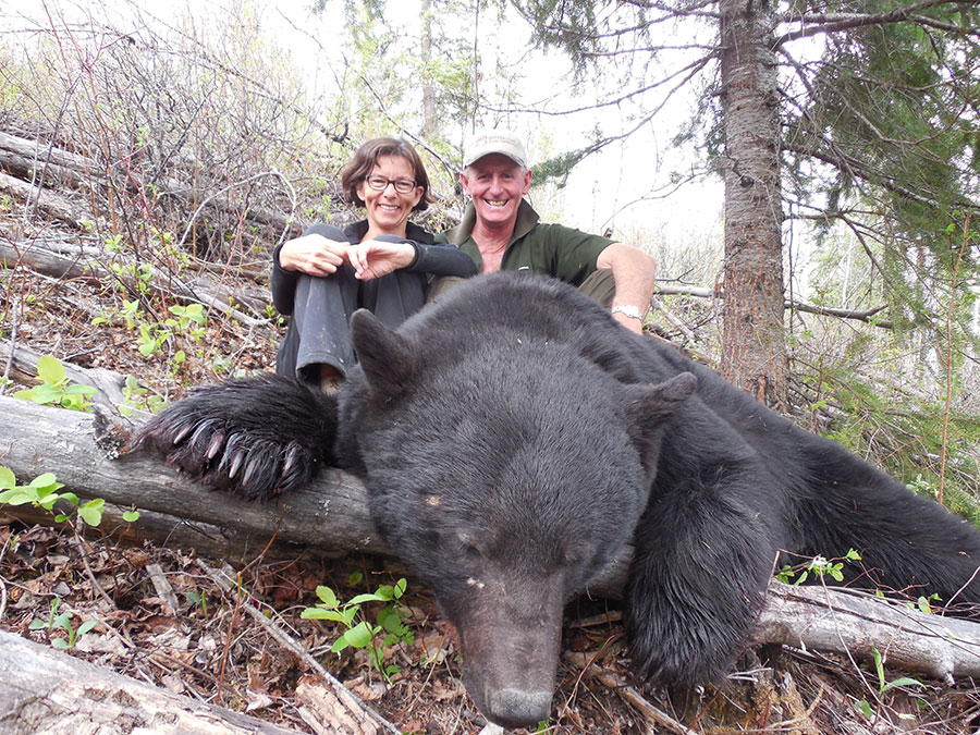 BC Black Bear Hunts, Black Bear Bow Hunting in British Columbia Canada ...