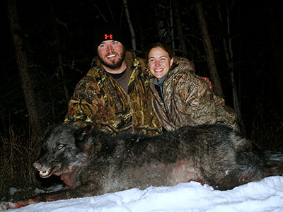 Wolf Hunting in BC