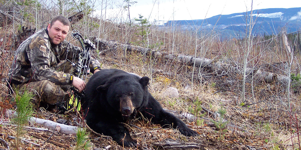 Bc Black Bear Hunts Black Bear Bow Hunting In British Columbia Canada