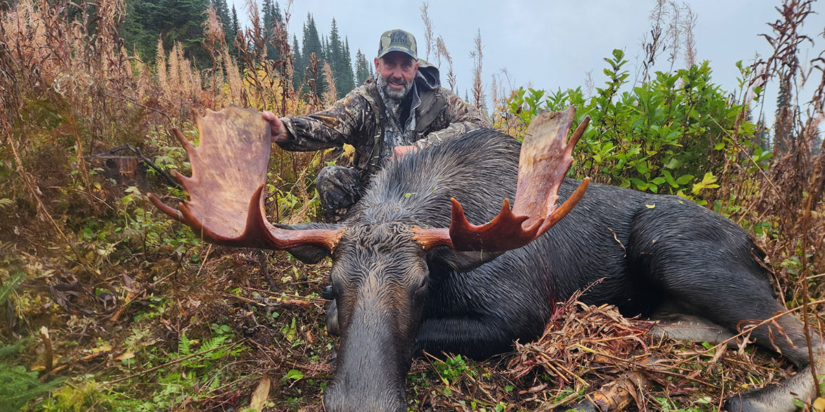 Moose Hunting BC